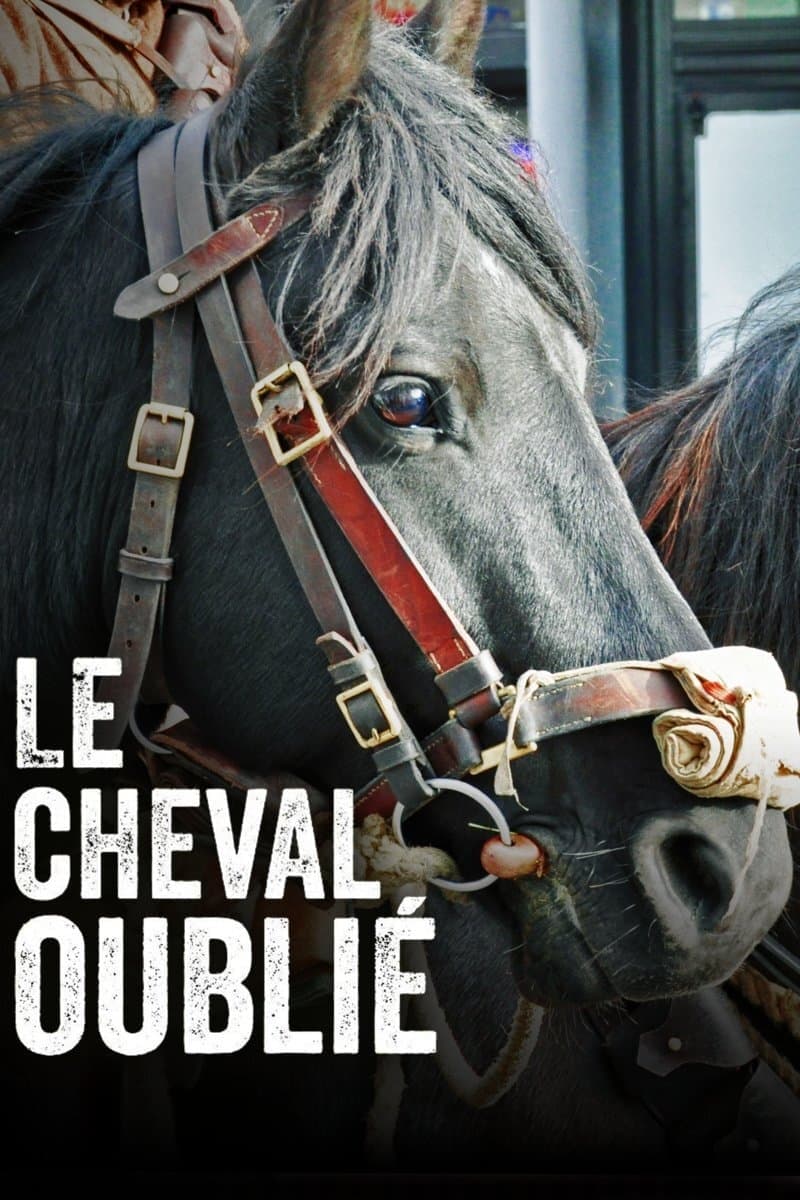 Le cheval oublié