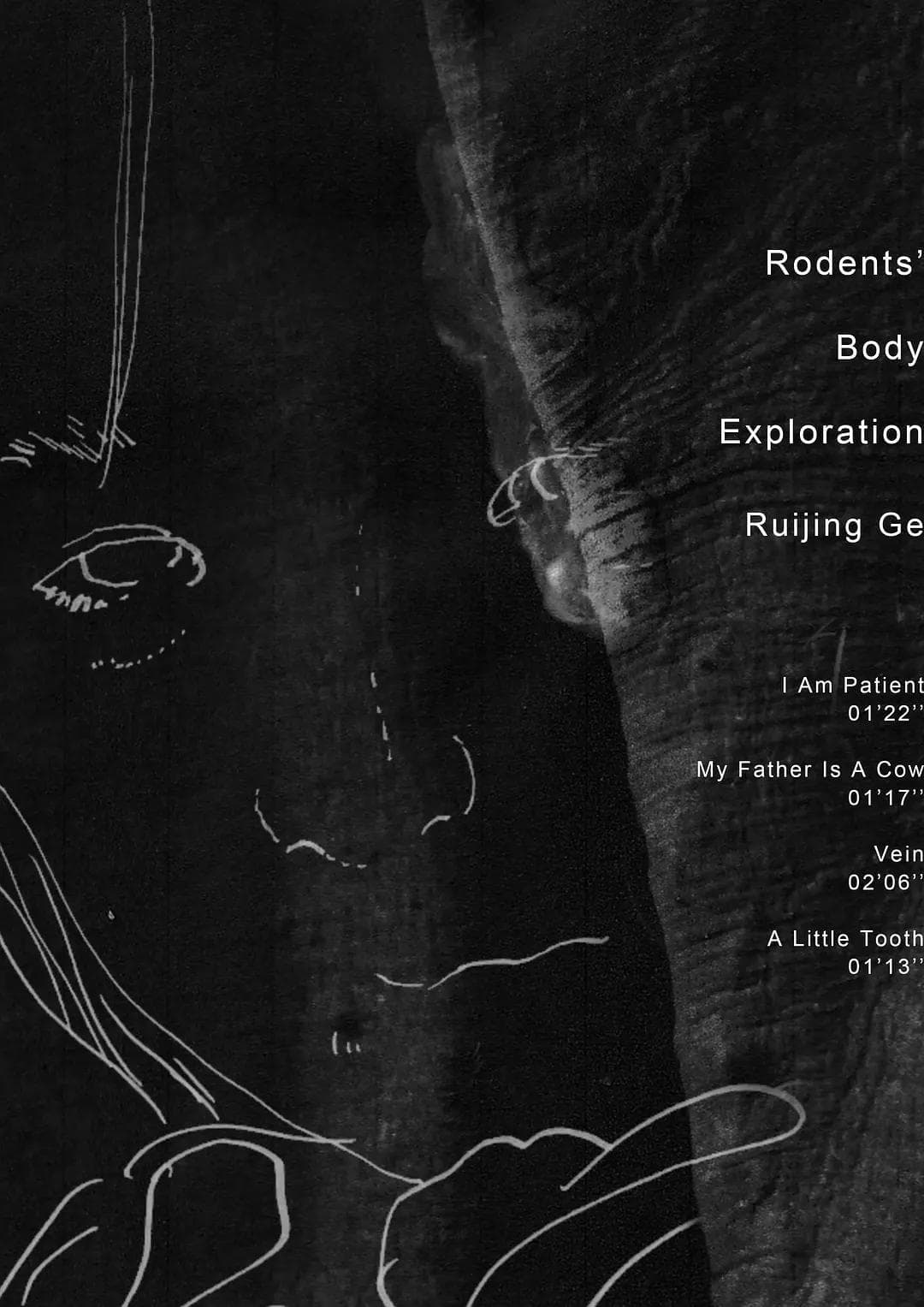 Rodents' Body Exploration