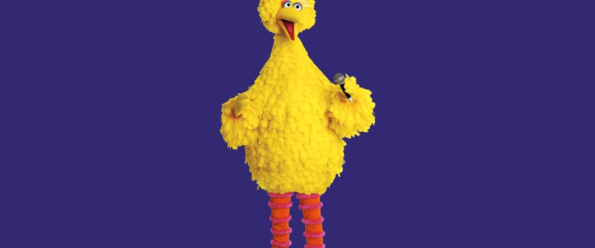 Sesame Street: Big Bird Sings!