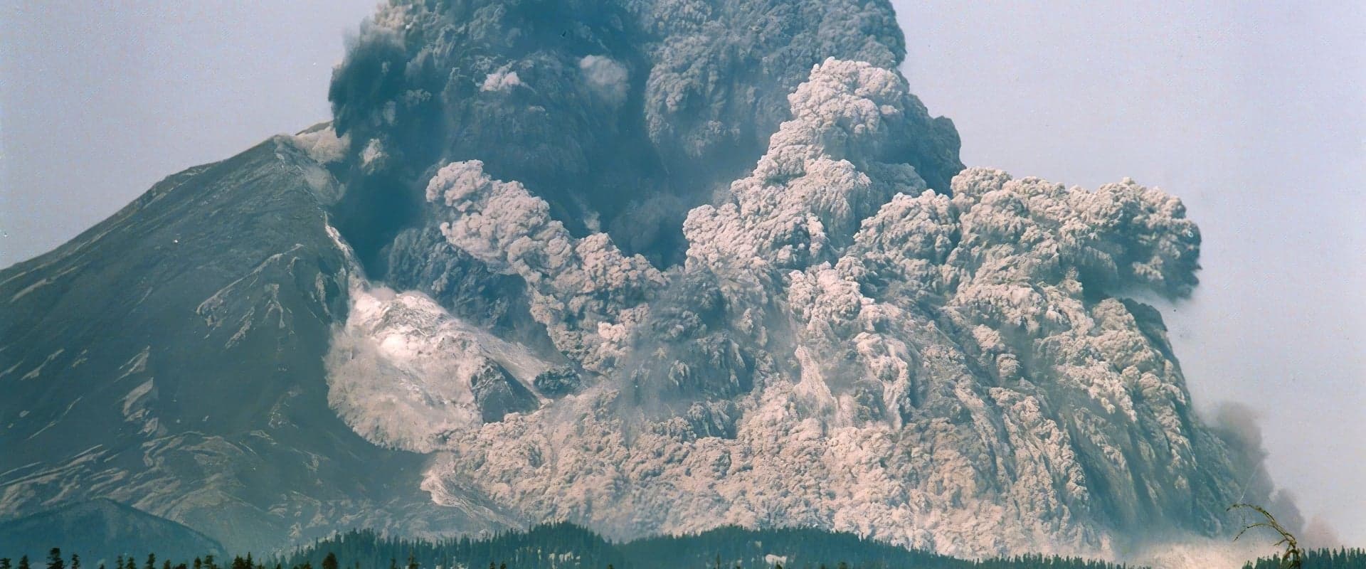 Surviving the Mount St. Helens Disaster