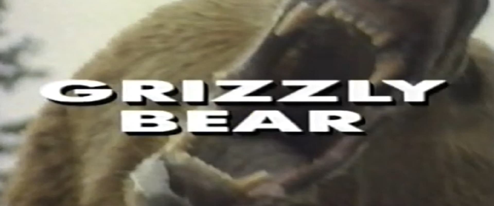 Predators of the Wild: Grizzly Bear