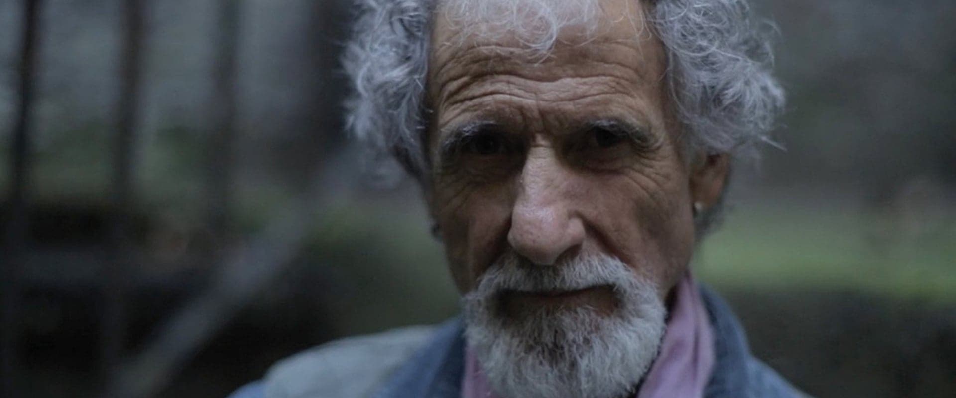 Frank Serpico