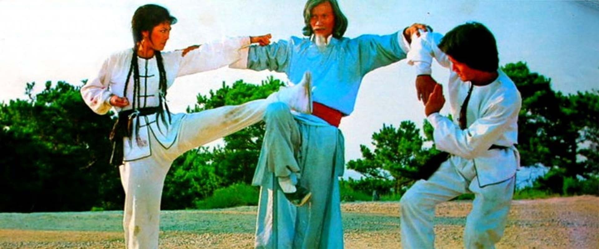 Twins of Kung Fu