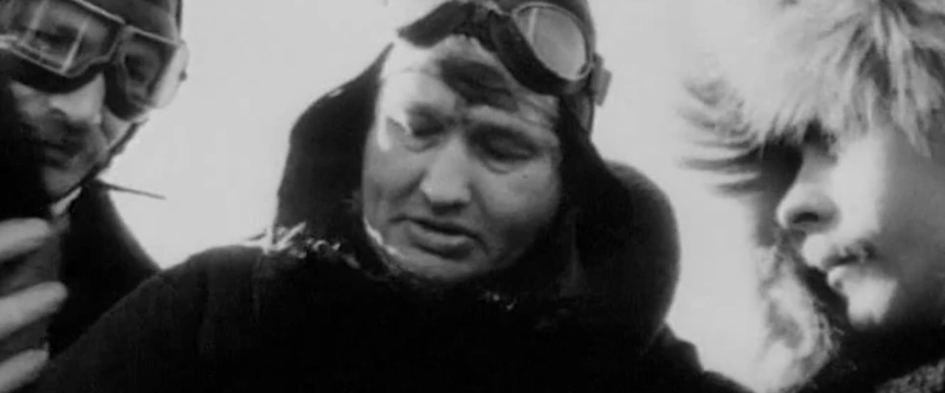 Comrade Chkalov Crosses the North Pole