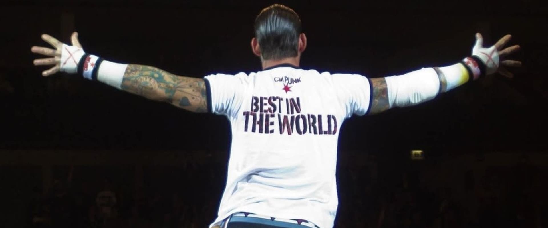 CM Punk: Best in the World