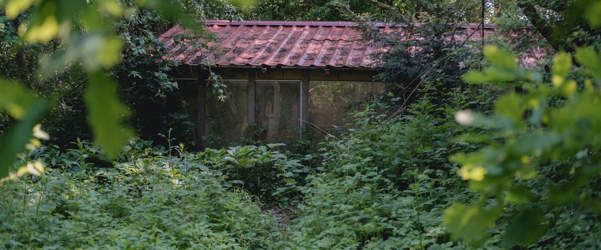 Behind The Garden Gate