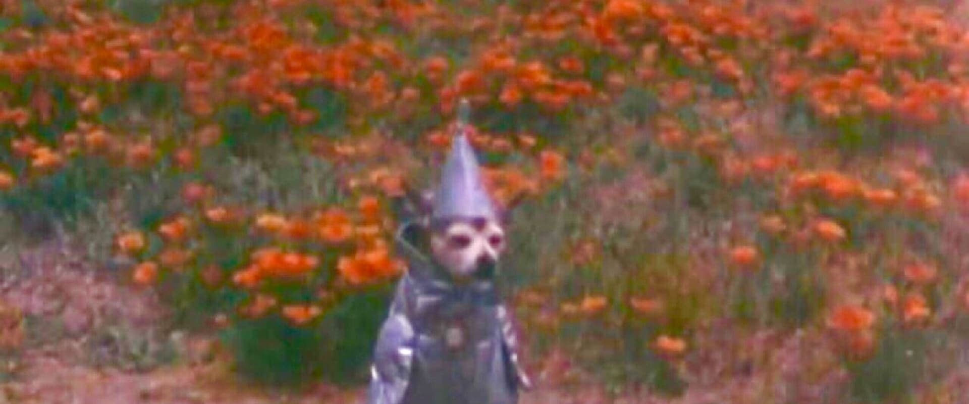 The Tin Woodman's Home Movie #2: California Poppy Reserve, Antelope Valley