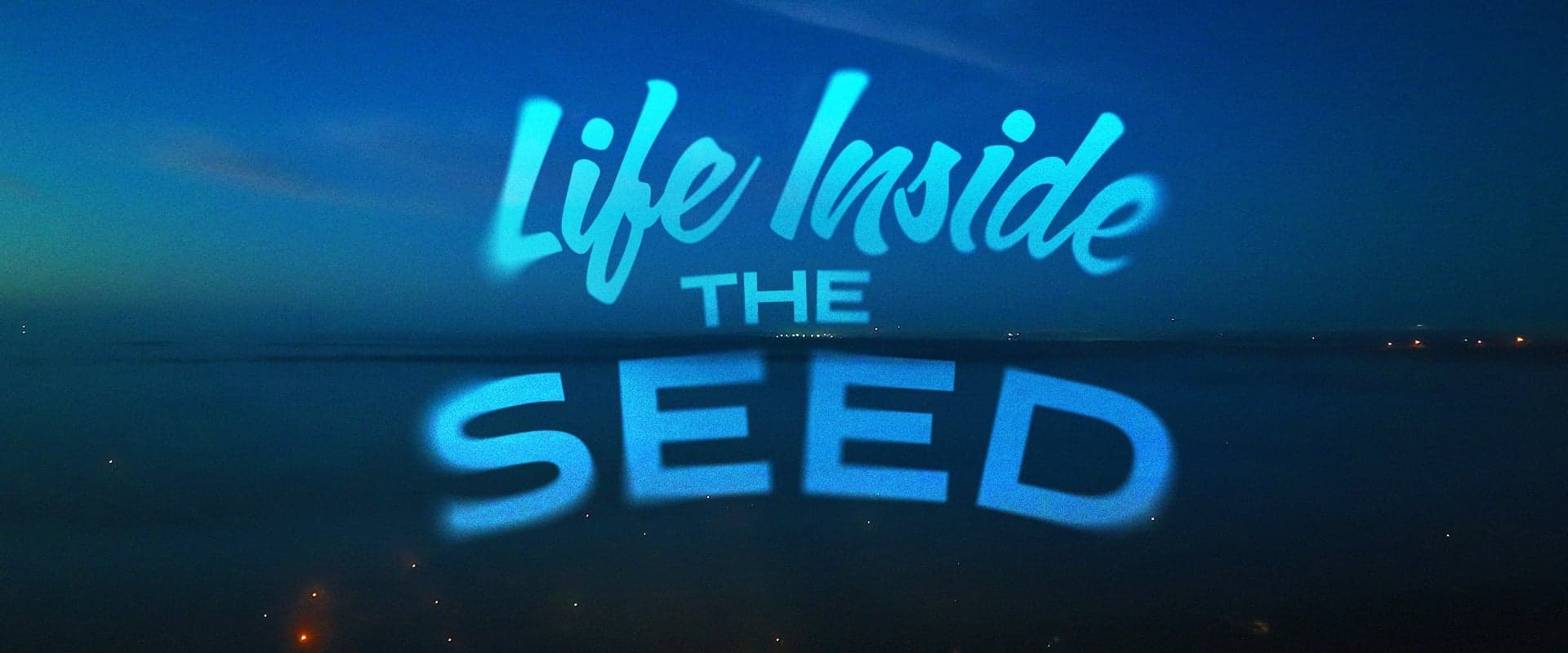 Life Inside the Seed