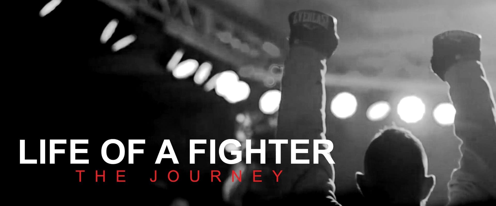 Life of a Fighter: The Journey