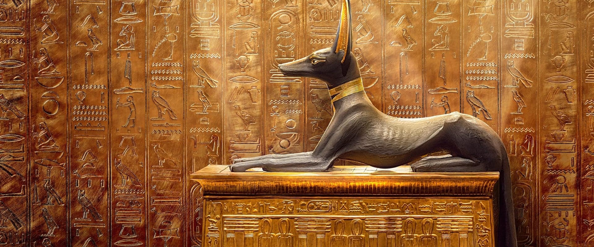 King Tut: A Century of Secrets