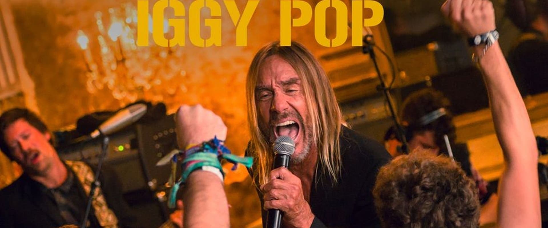 Iggy Pop Live at La Gaîté Lyrique, Paris