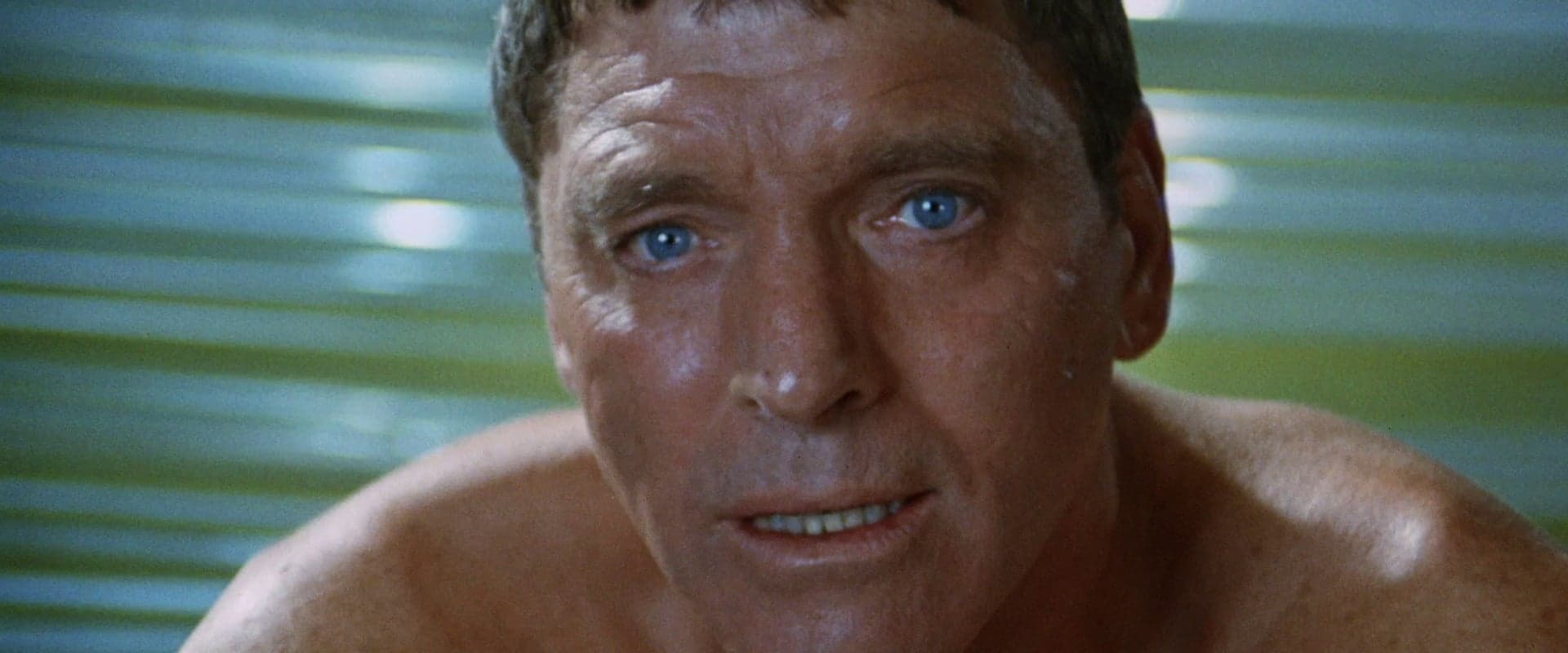 The Swimmer
