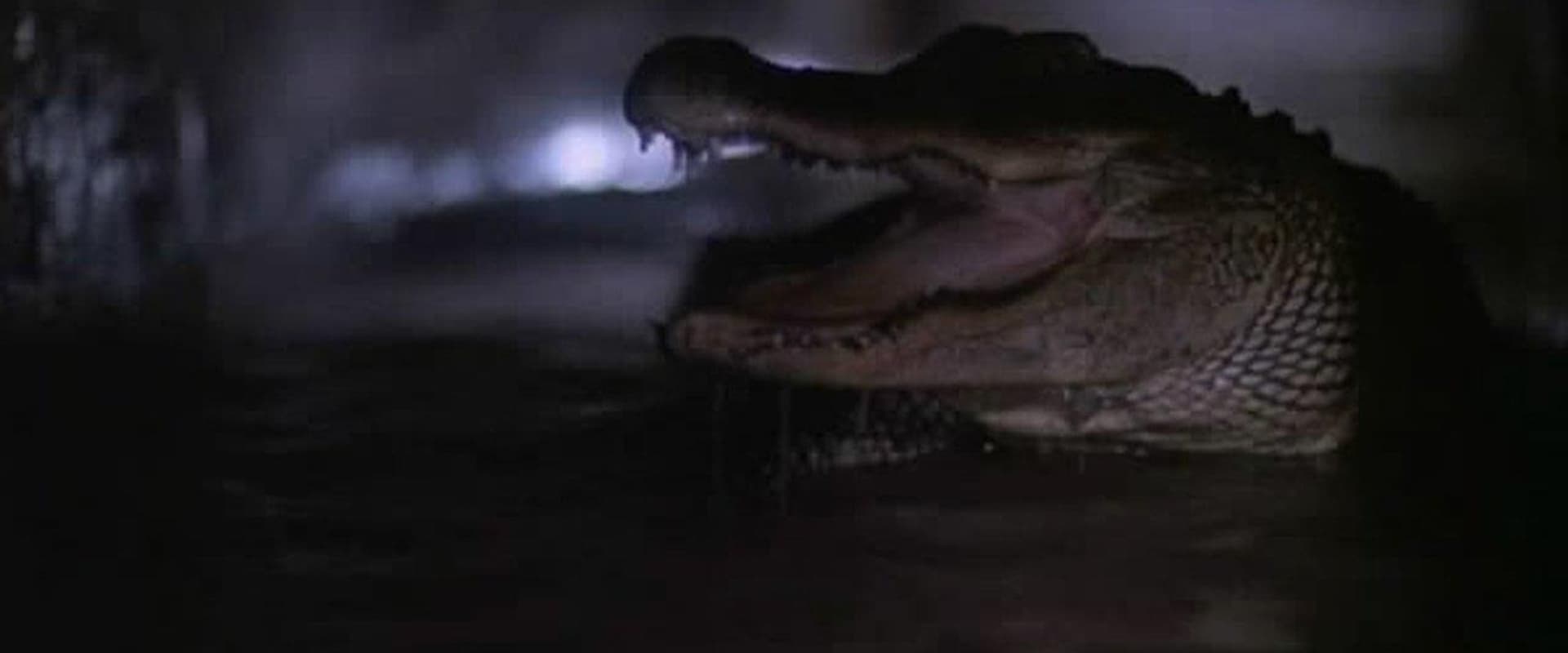 Alligator 2: The Mutation
