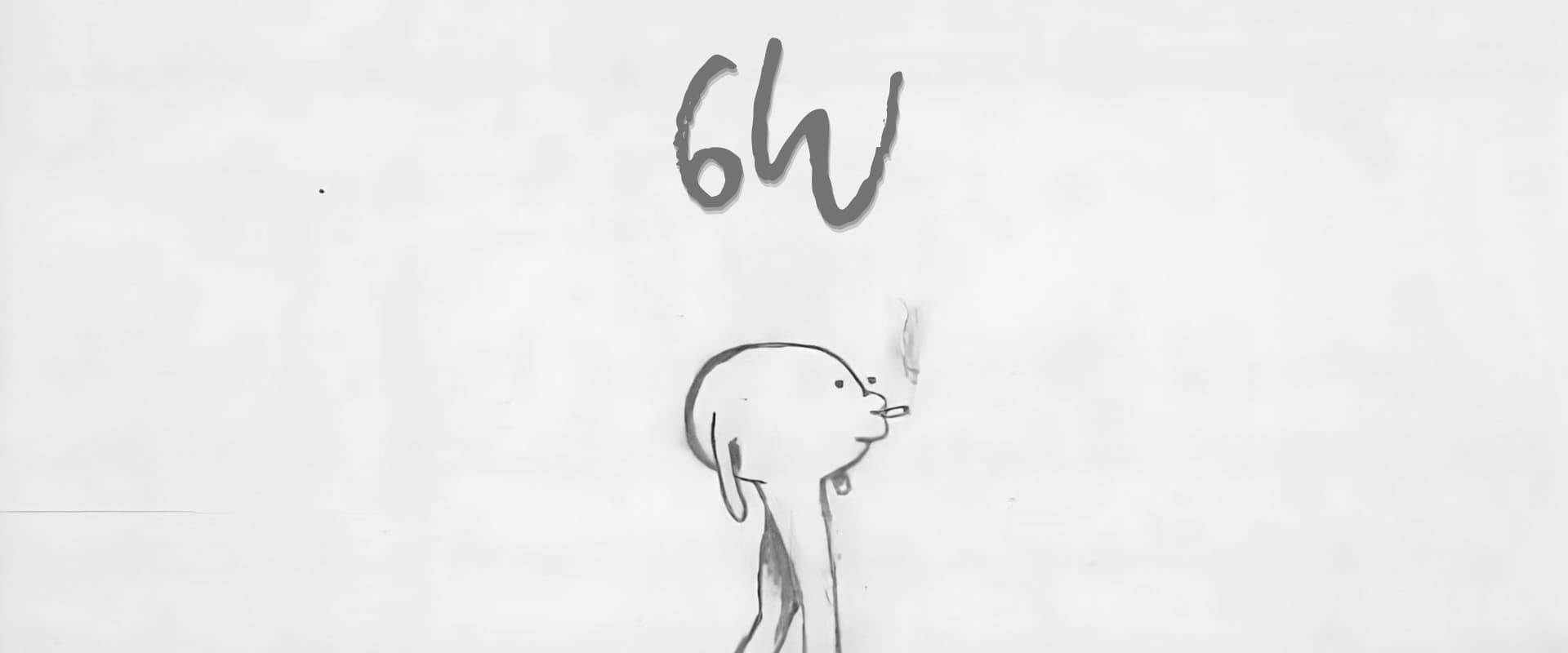 6W