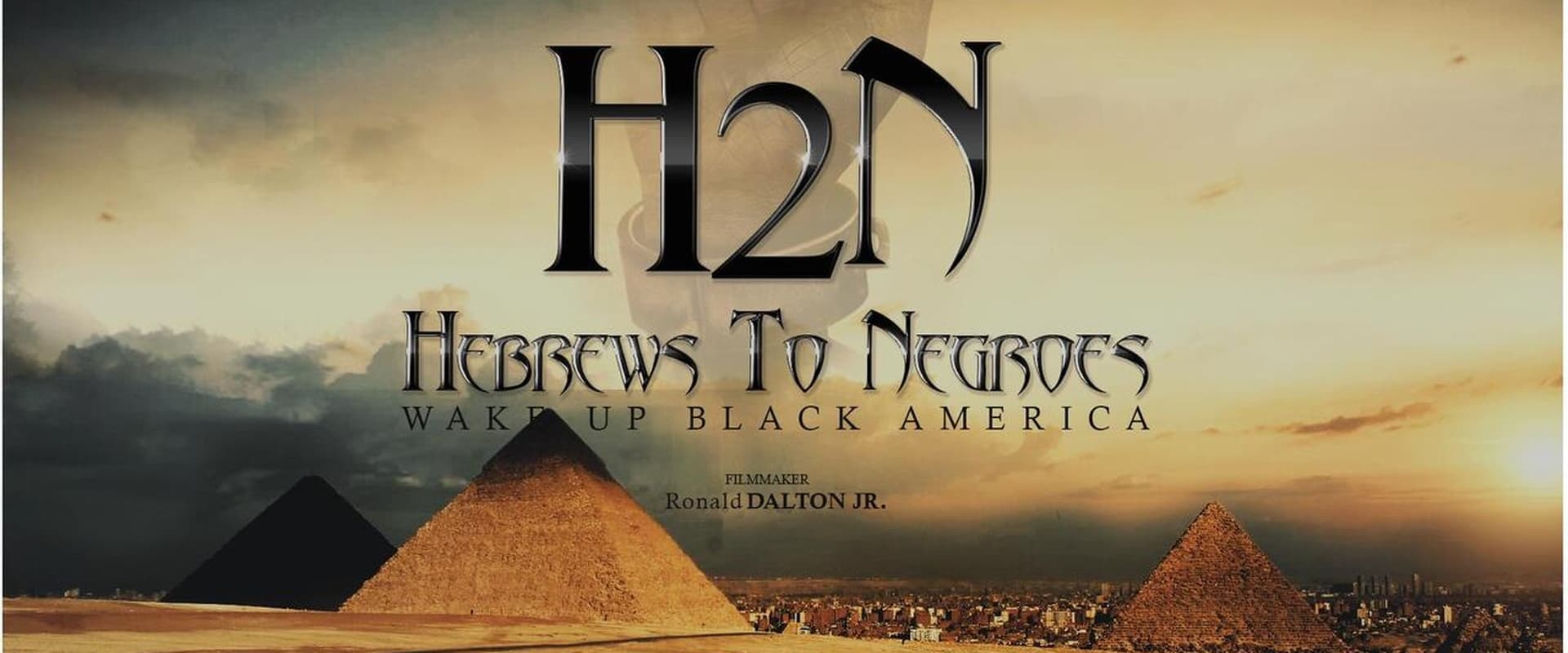 Hebrews to Negroes: Wake Up Black America