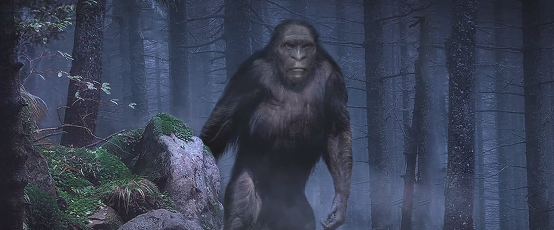 On the Trail of Bigfoot: The Discovery