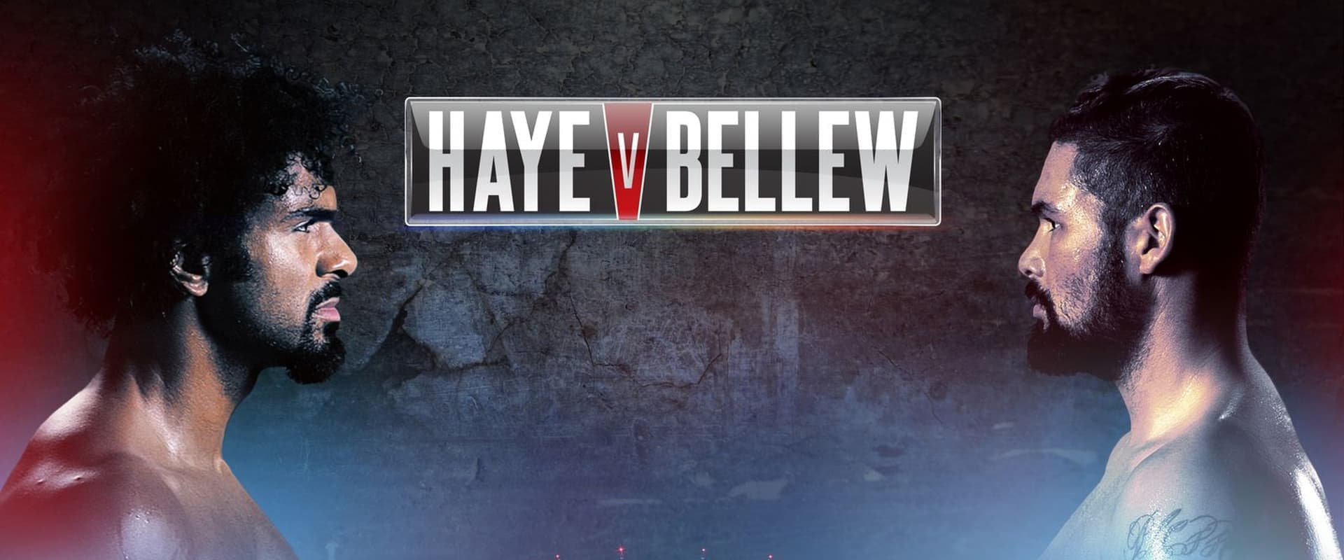 David Haye vs. Tony Bellew