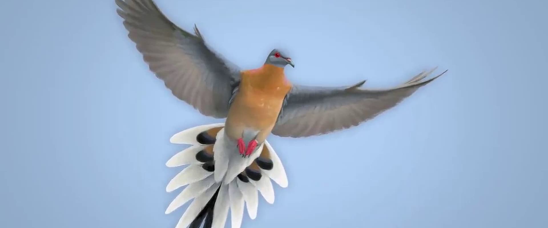 From Billions to None: The Passenger Pigeon's Flight to Extinction