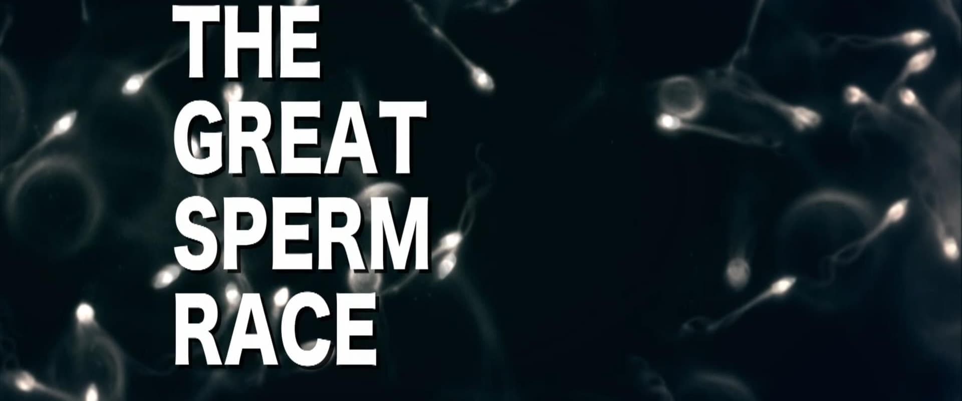 The Great Sperm Race