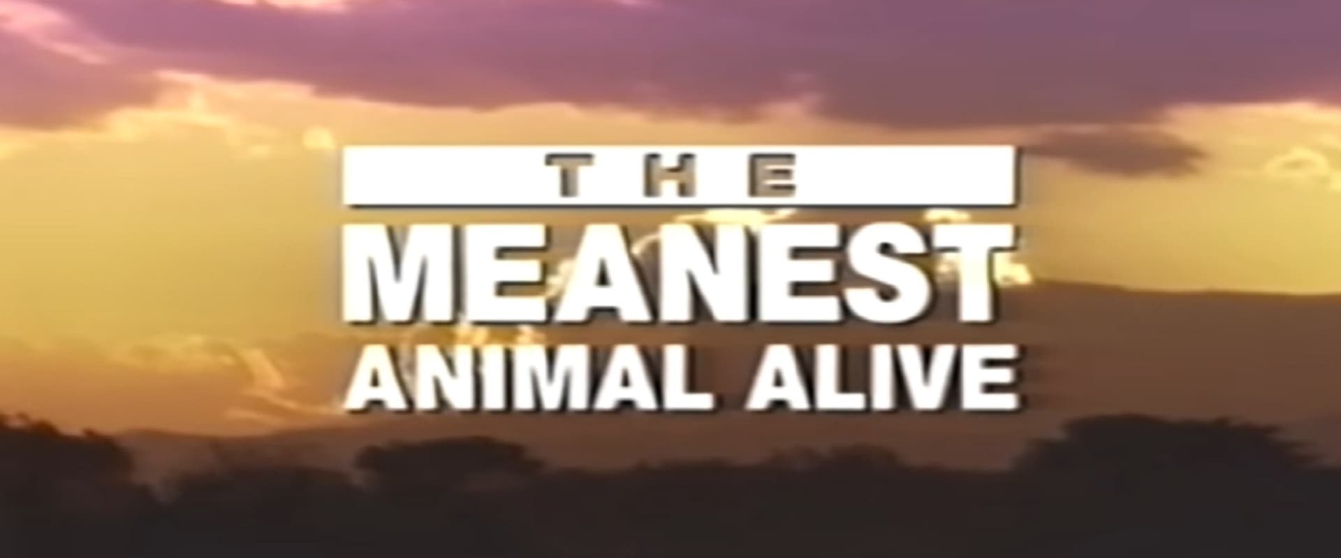 Time Life Animal Oddities: The Meanest Animal Alive