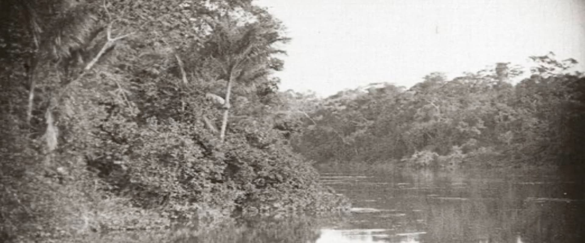 Amazon: Longest River in the World