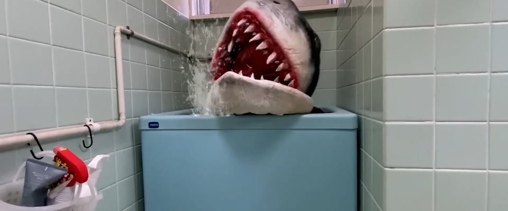 Ido Shark
