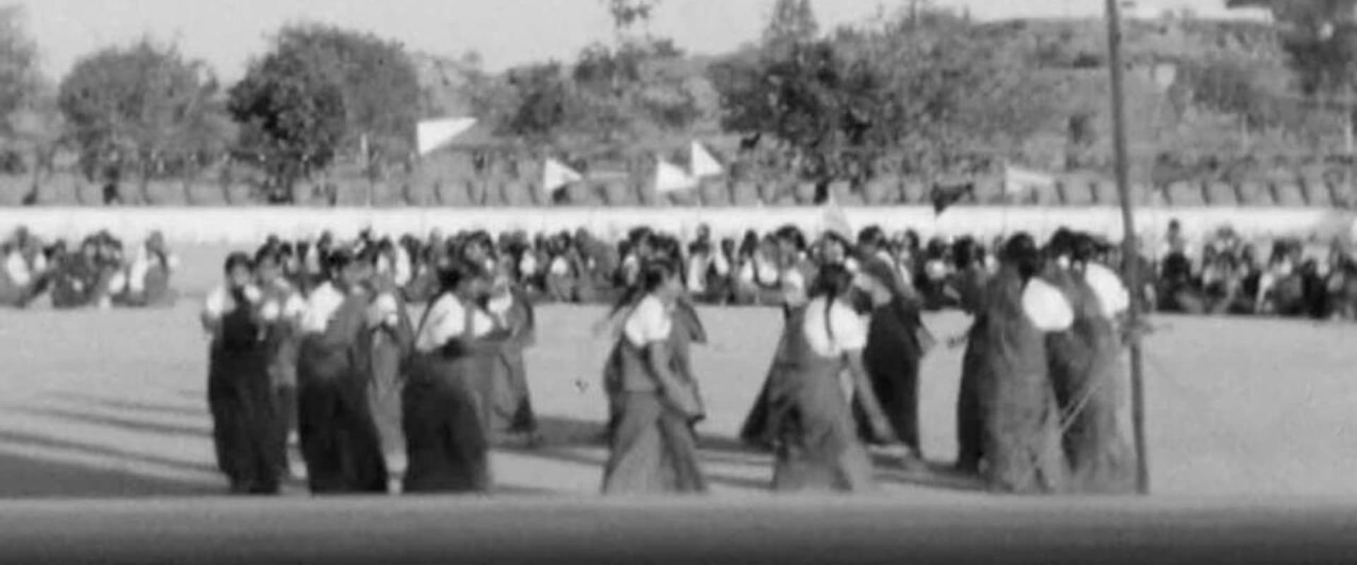 Chief Guide at Hyderabad Rally