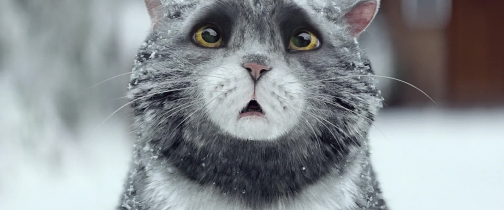 Sainsbury's: Mog's Christmas Calamity