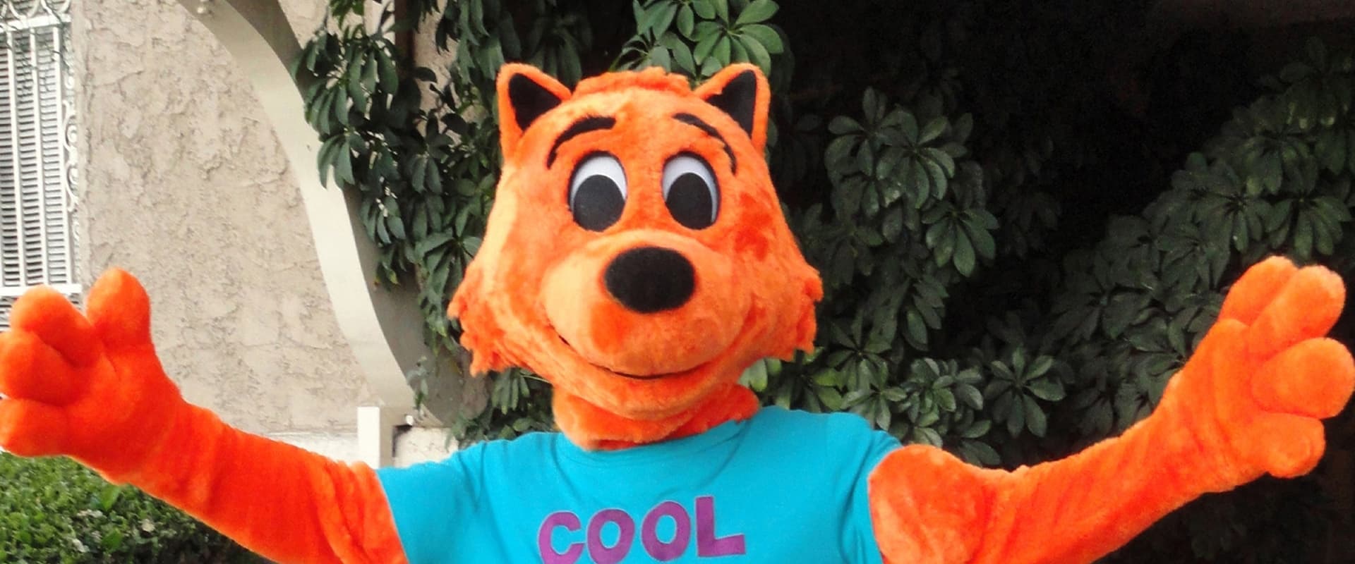 Cool Cat Saves the Kids