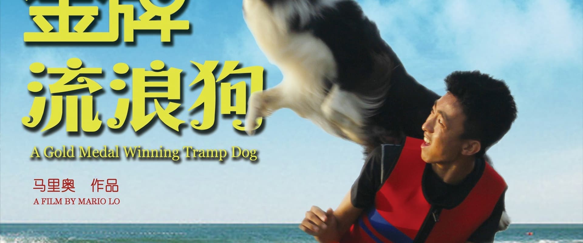A Gold Medal Winning Tramp Dog