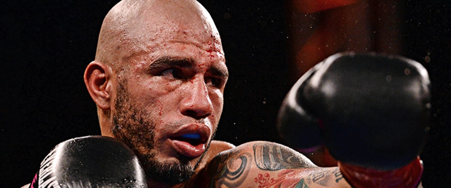 Miguel Cotto vs. Sadam Ali