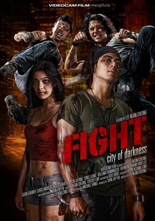 Fight: City of Darkness
