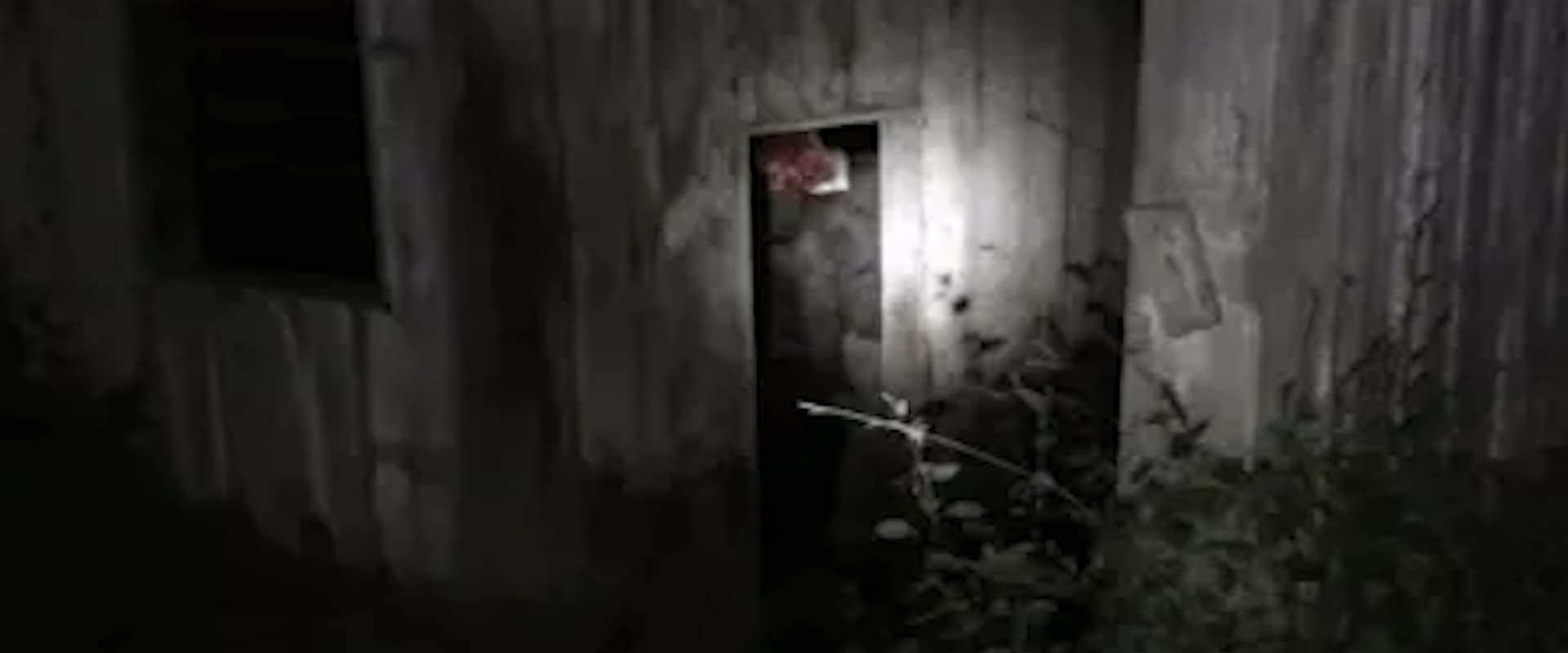 The Fear Footage 3AM